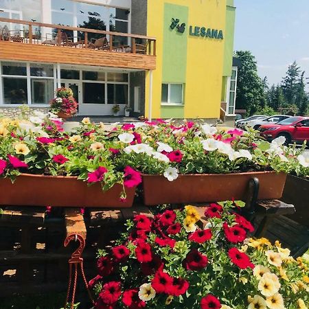Hotel Lesana Stará Lesná Eksteriør billede